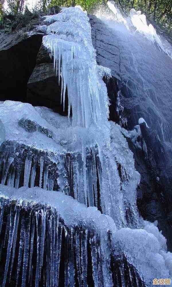 《阴阳双剑》剑池系统实战上手指南，没想到这些也重要