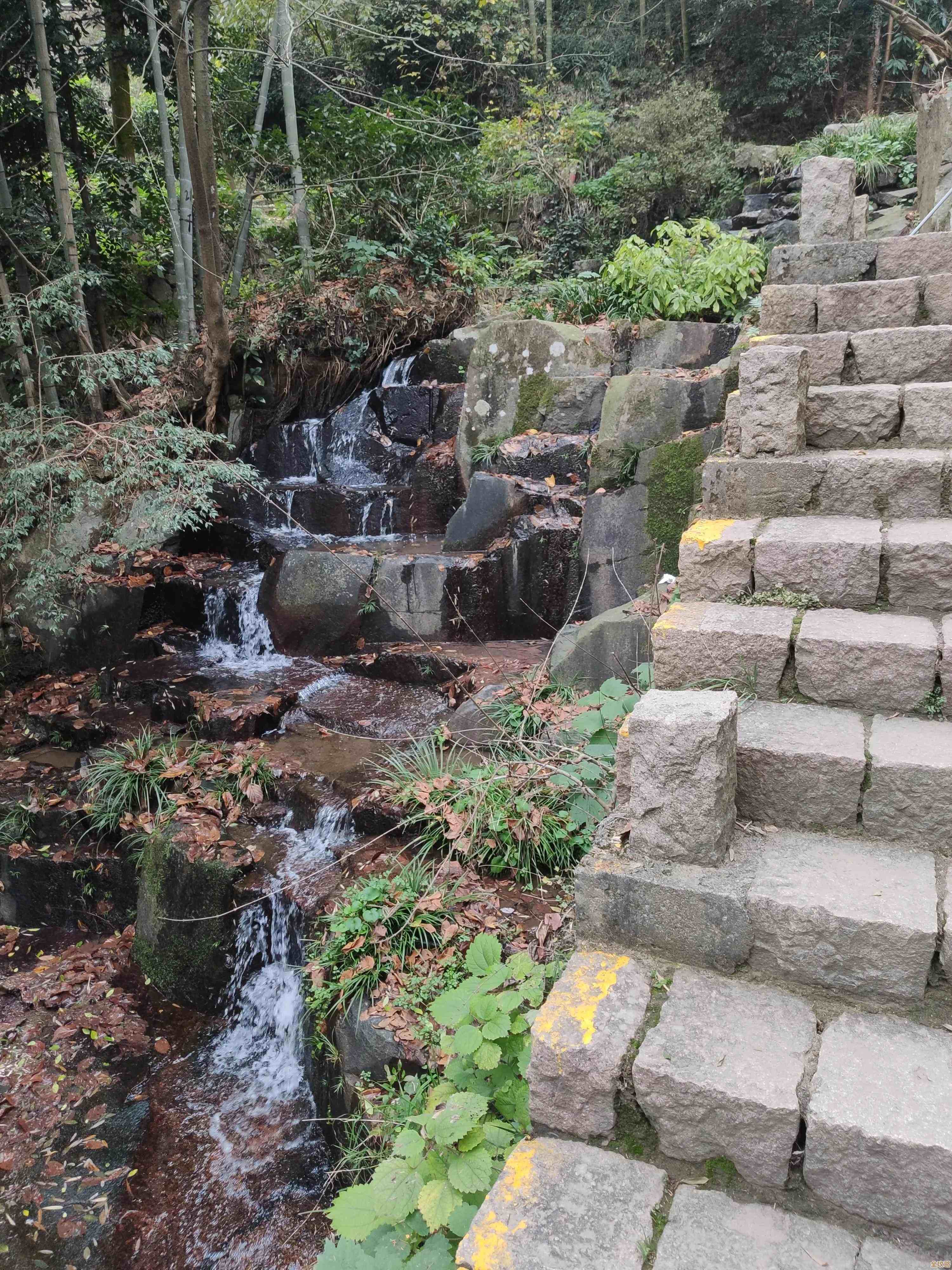 《阴阳双剑》剑池系统实战上手指南，没想到这些也重要