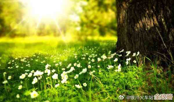 在无限暖暖里学会捕捉一缕阳光的做法，步骤说简单其实还要点耐心