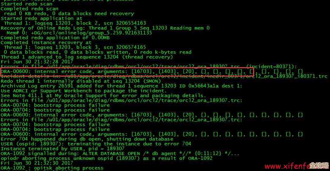 ORA-02718报错怎么破？远程帮你搞定osnprs协议重置故障问题