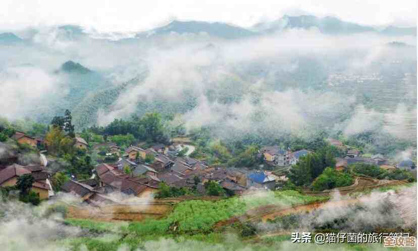 感觉现在企业都慢慢往云上靠,未来可能真离不开云端了 感觉现在企业都慢慢往云上靠,未来可能真离不开云端了