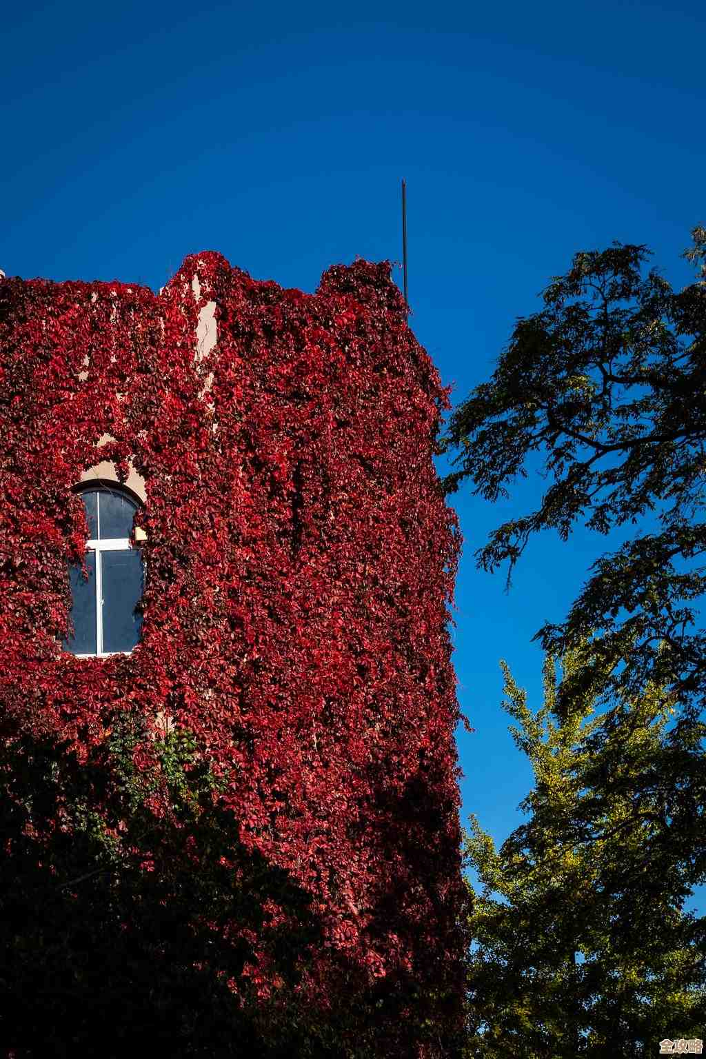 小朋友值得玩的游戏分享,随手记下不完全清单 小朋友值得玩的游戏分享,随手记下不完全清单