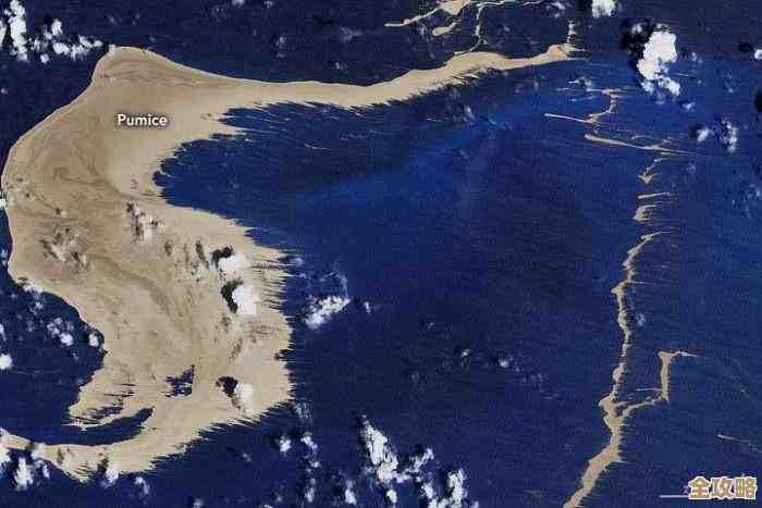 海洋动物里真的有能在海面短暂飞行的，猜是哪种.