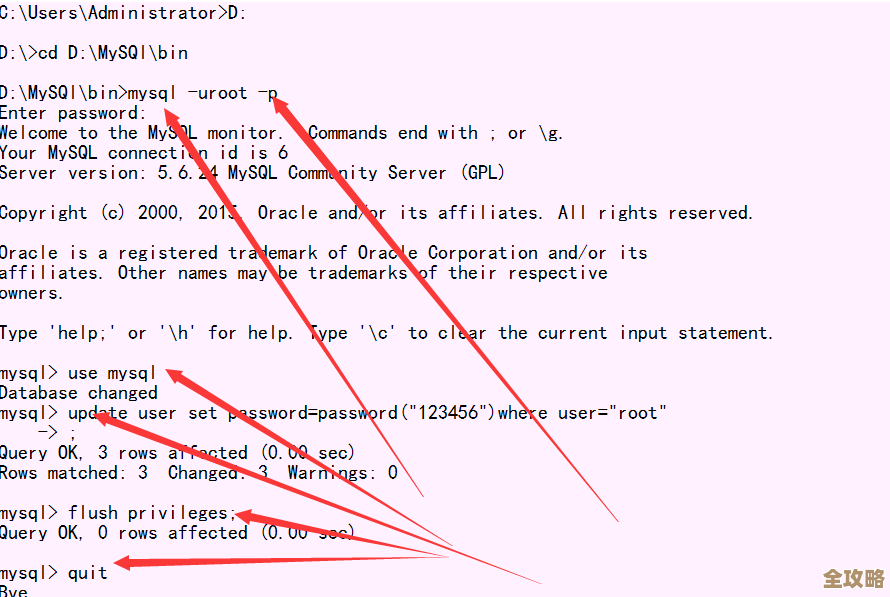 数据库密码怎么改代码写法分享，重置密码操作步骤和示例讲解