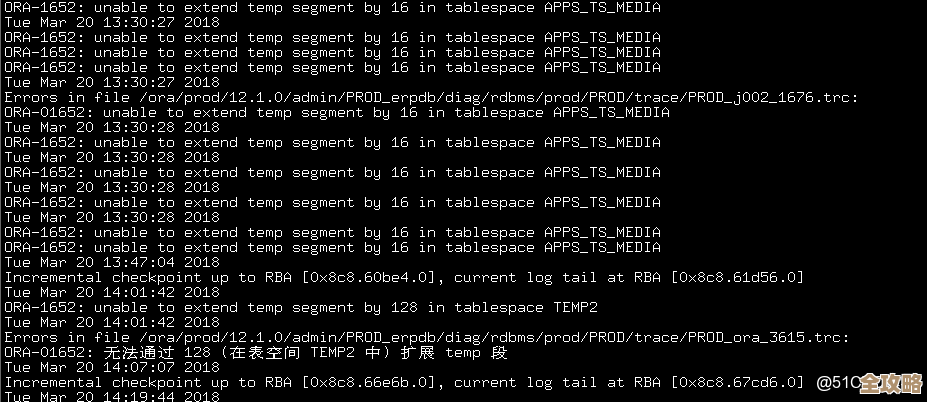 ORA-19293错误搞不定？多个模式导入同名命名空间导致的静态错误远程修复指南