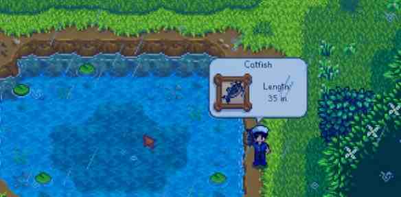 星露谷物语鳟鱼大赛这样钓才有戏，实战小抄随手翻