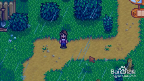 星露谷物语养殖动物任务攻略要点，呃蛋奶鸟窝到底怎么整