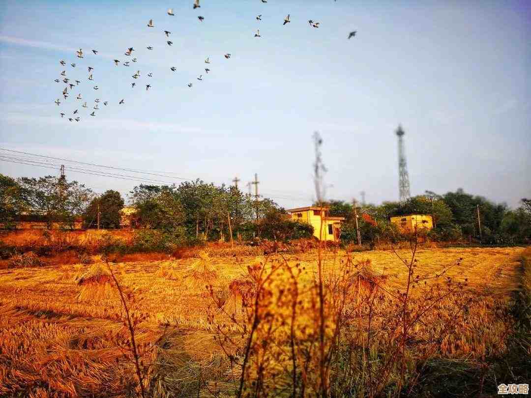 无限暖暖赶绵羊那关…搞不定的点和几招应急打法