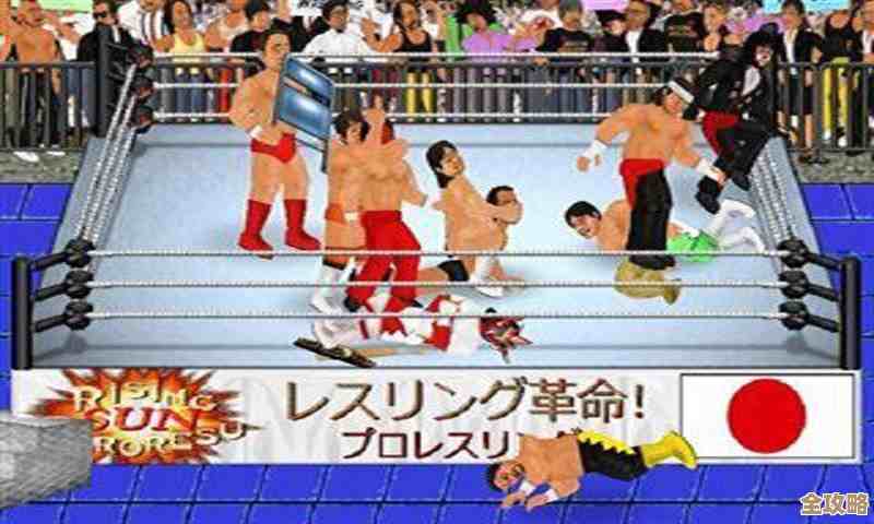 好玩的摔跤游戏大全，画面操作各有特色，选着玩吧