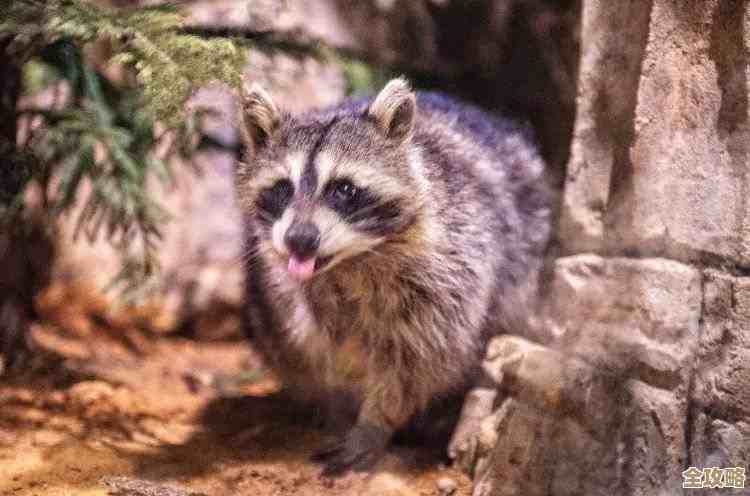 别犹豫了，竞速派对《超级羊浣熊》宣传片一放就躁动