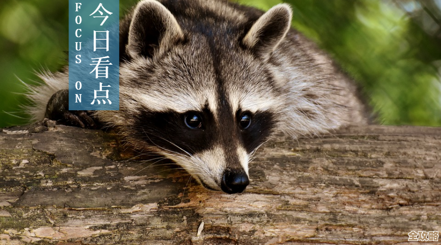 别犹豫了，竞速派对《超级羊浣熊》宣传片一放就躁动