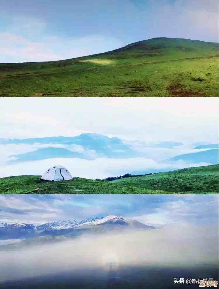 企业想从云上省钱又不亏，得先搞清楚这些关键点和套路