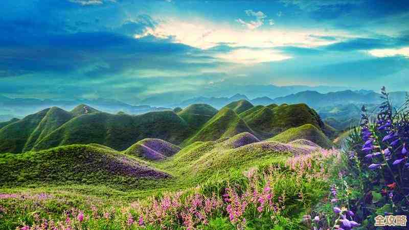 企业想从云上省钱又不亏，得先搞清楚这些关键点和套路