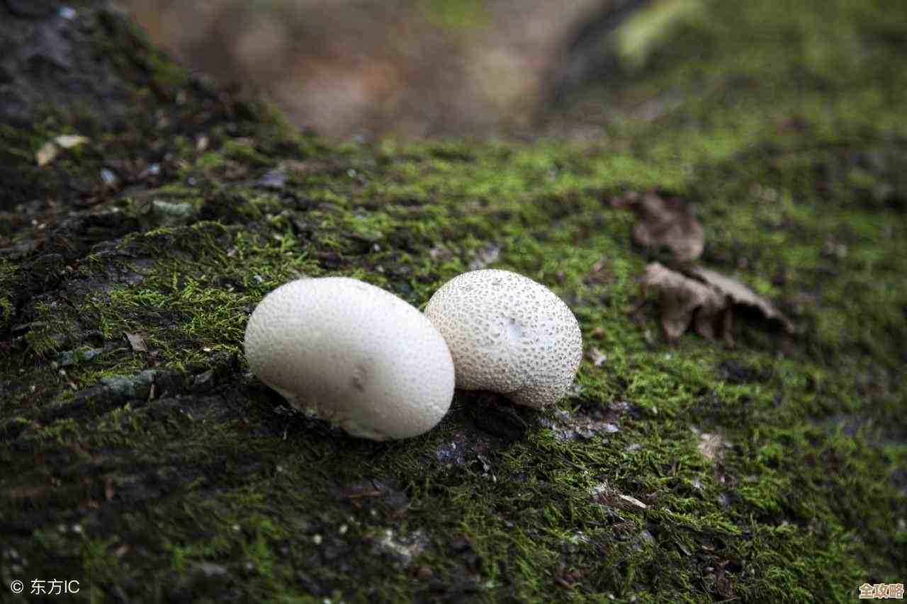 专家说数据其实已经无处不在，云原生怎么走才算真路呢？