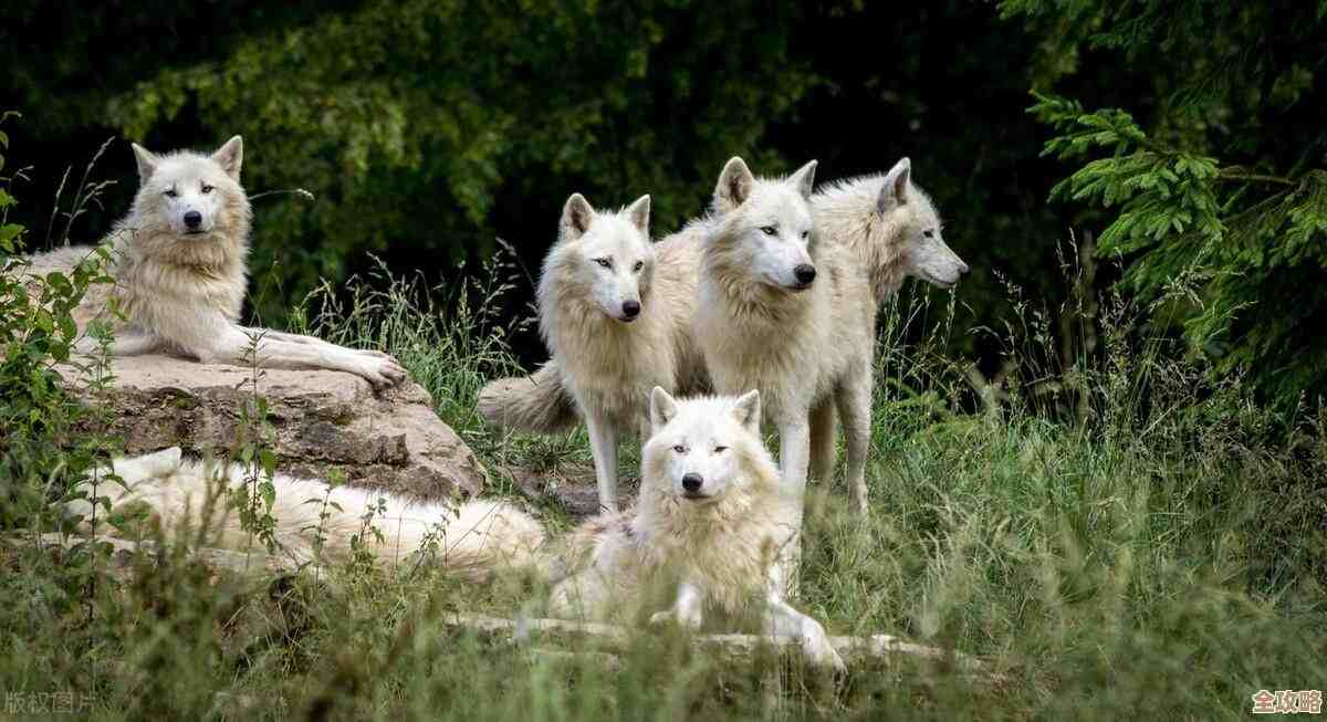 扫雷网页版入口，在线玩一局放松一下吧，随手点点