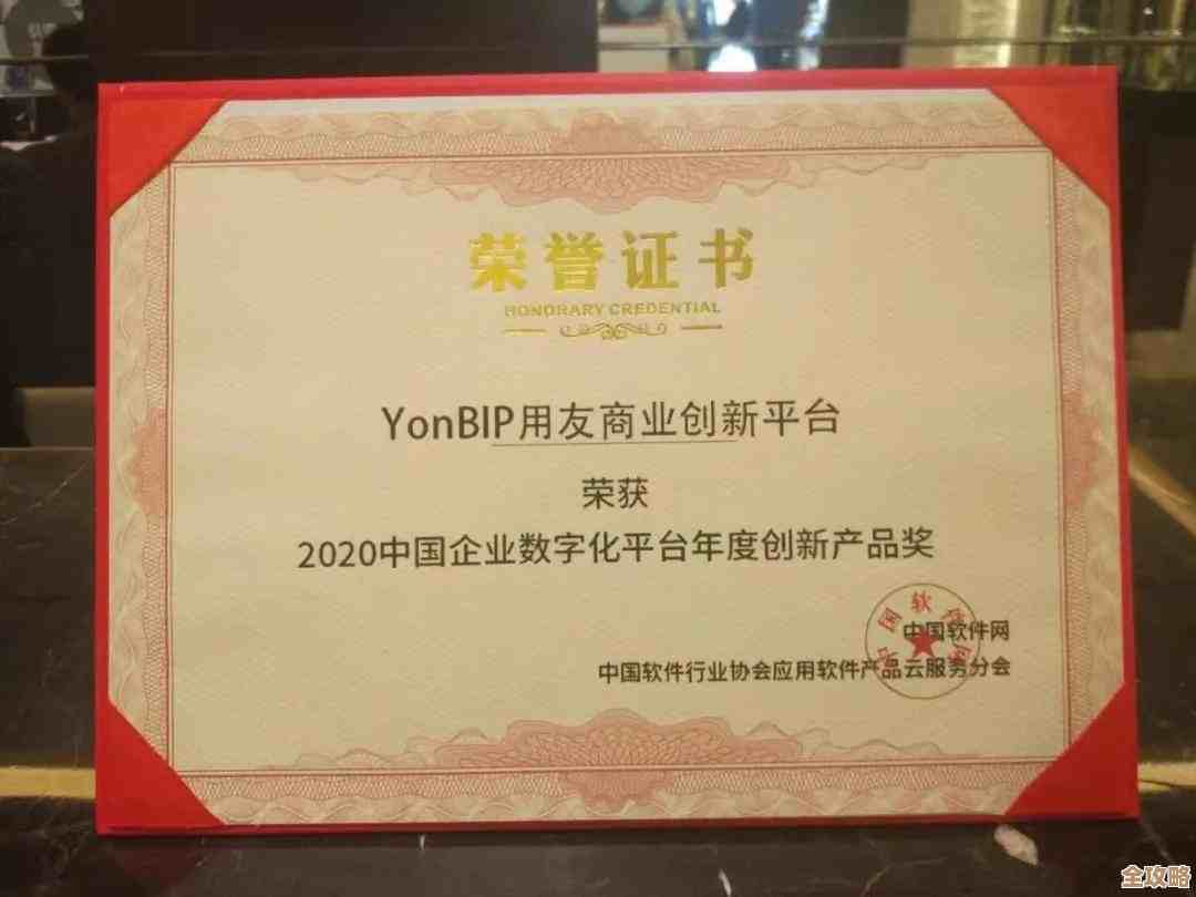 YonBIP拿了个什么“最佳企服云原生实践创新奖”感觉挺厉害的，企业服务这块又有新玩法了