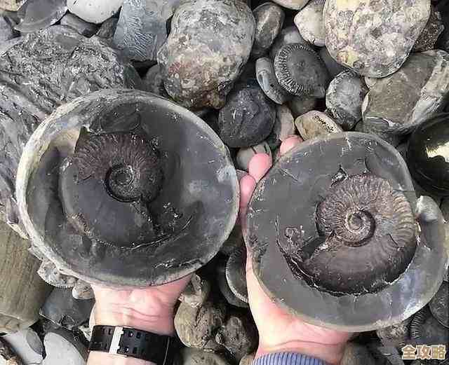 怪物猎人3锤子该怎么选，是追高爆发还是稳一手更合适呢