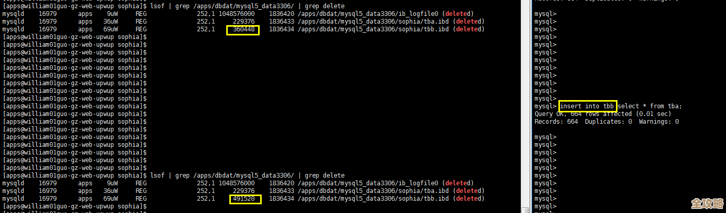 MySQL报错MY-011122，字符集加载失败，远程帮你快速修复问题