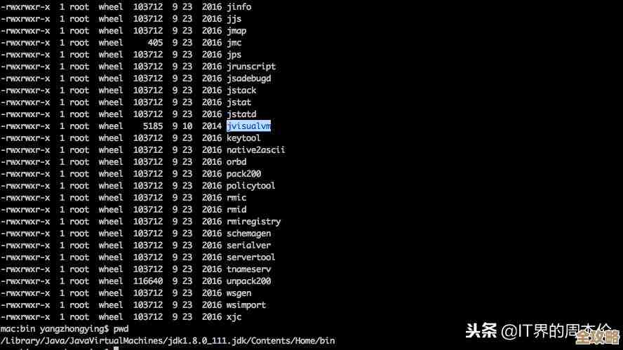 Java怎么搞大批量数据库操作，性能和效率问题咋解决啊