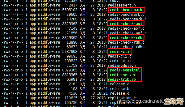想知道服务器上redis到底咋运行的，怎么快速查看它状态和性能情况