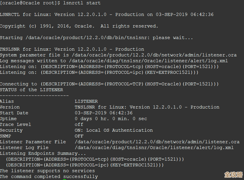 ORA-12222协议不支持导致连接失败，远程帮你快速定位修复方案