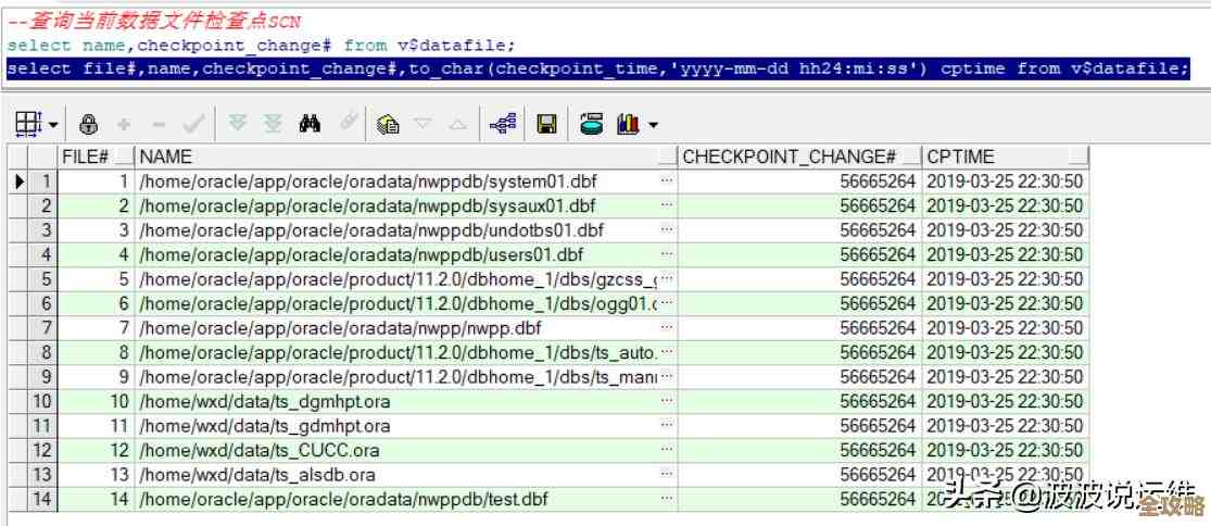 想知道怎么搞定SS数据库安装包下载和安装步骤吗，来看看这篇详细讲解吧
