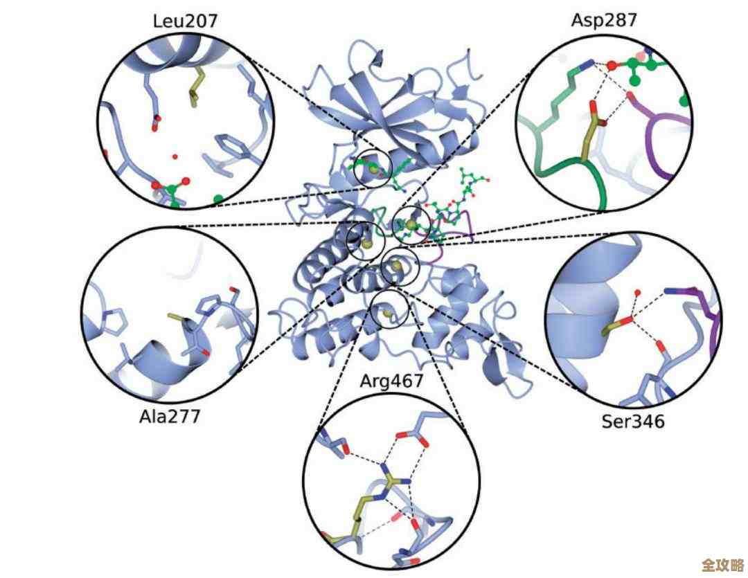 Java里数据库映射这事儿，怎么说呢，真的是写代码绕不开的一步，不搞明白很难顺利开发