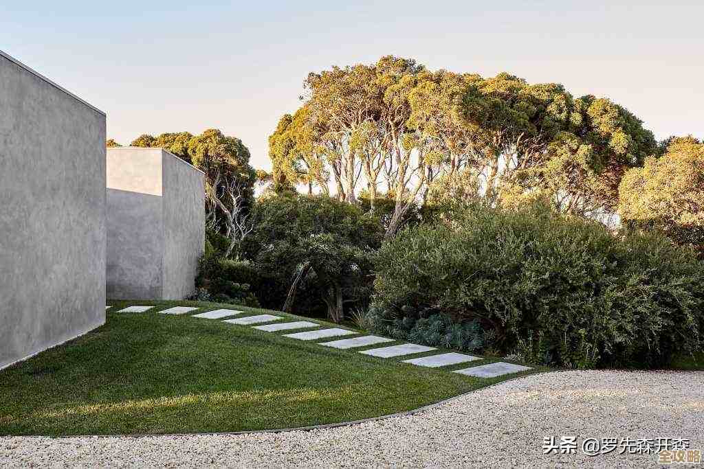 树叶云OceanBase教程里讲的那些关于日期值操作和用法细节分享