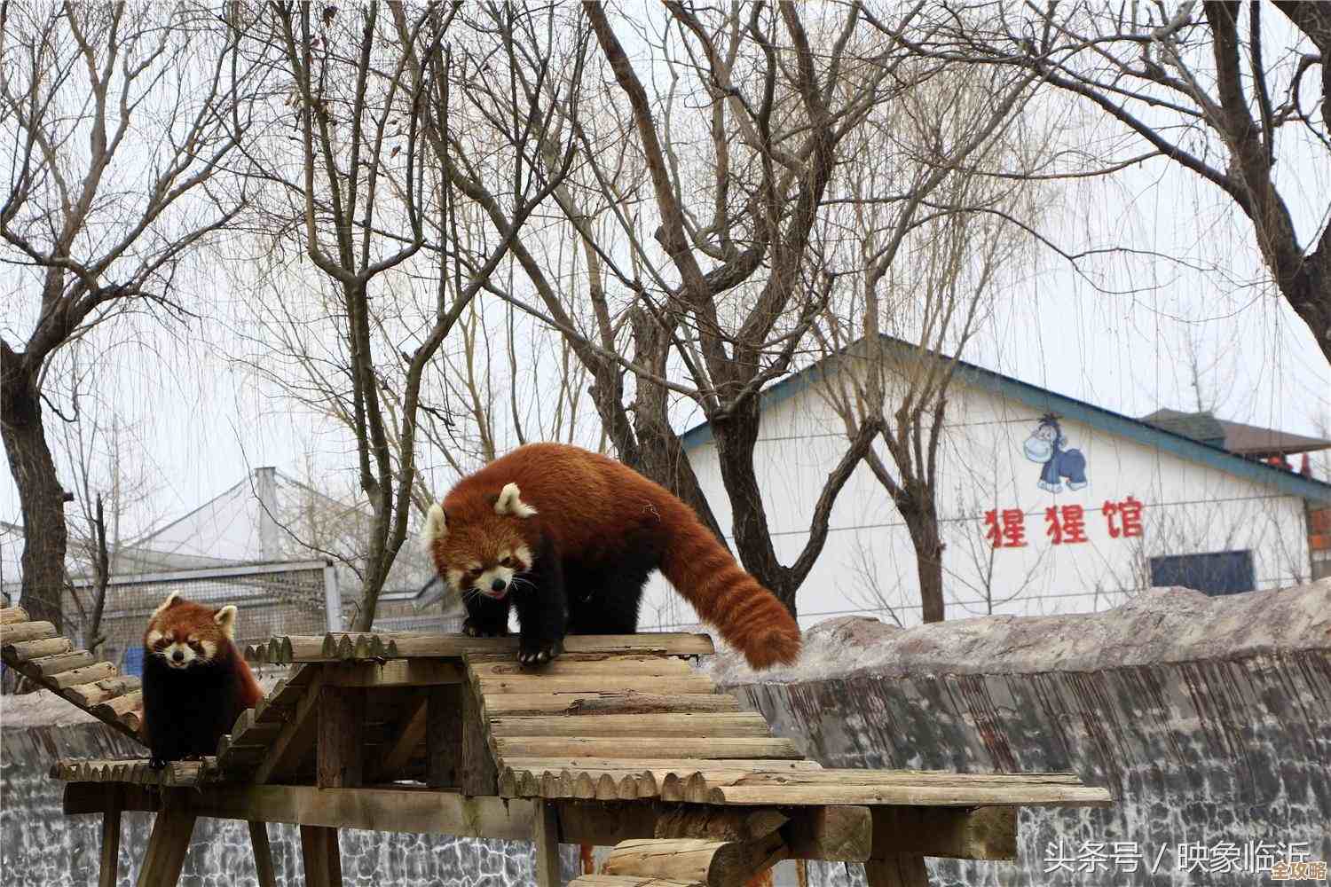 秀动里怎么快速添加观演人，步骤好像就这几条，别复杂