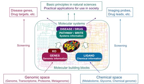 数据库系统到底有哪些分类，简单说说各种类型和特点吧