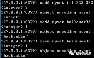 Redis里没索引也能玩出花样，探索无索引下的新可能和新思路