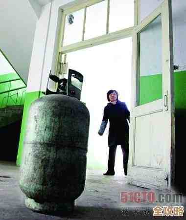 云计算其实有点像煤气罐和管道煤气，听我慢慢说给你明白这两者到底怎么区别开来