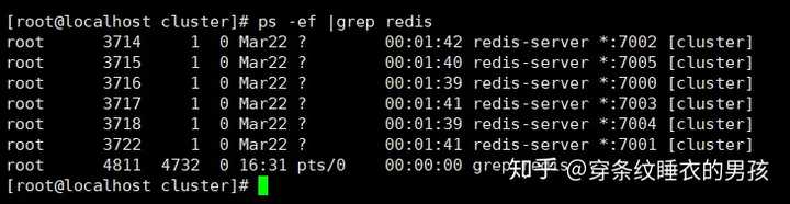 用Redis集群那些命令搞定分布式系统，感觉挺靠谱的，怎么创建其实没那么难
