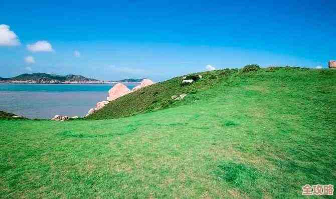 《蔚蓝档案》限时复刻【不忍之心】活动一览，掉落奖励、通关思路都在这边.