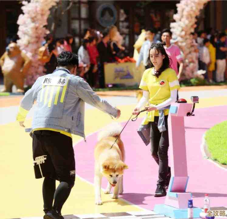 怪力最佳持有物搭配推荐，教你提升战斗力的那些不完美但管用搭法.