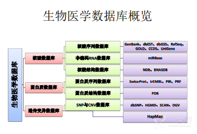 Mimic2数据库真是医学研究里不可缺少的数据宝库，数据完整又丰富