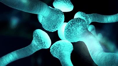 就是想弄个训练脑子灵活的游戏合集，轻松又有挑战感吧