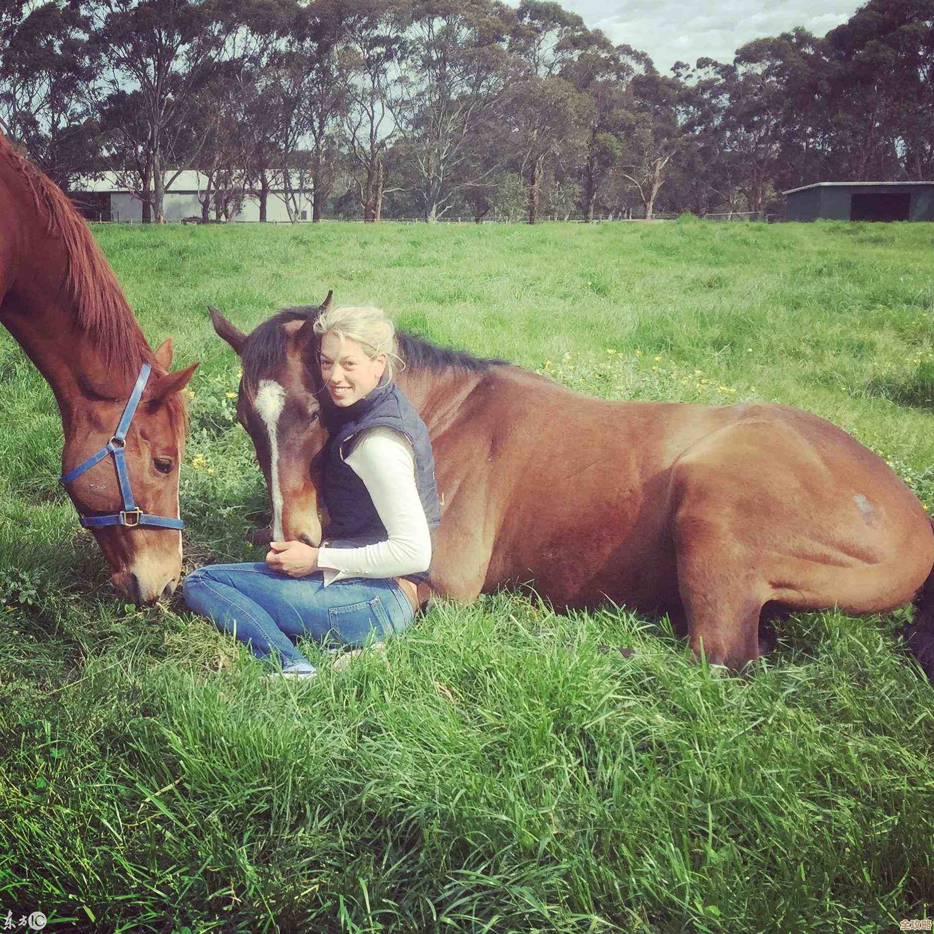 想要趣味赛马机游戏下载?看看这些热门的赛马机游戏,先凑个热闹 想要趣味赛马机游戏下载?看看这些热门的赛马机游戏,先凑个热闹