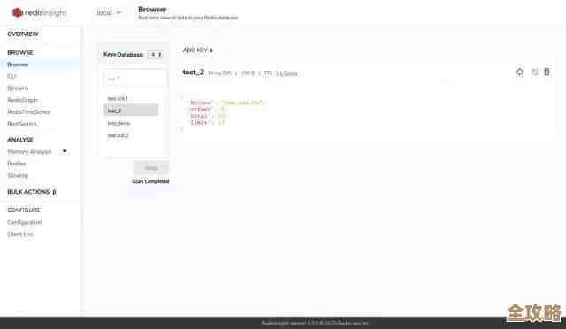 文档里说的Redis怎么简单用，白话点讲步骤啥的，方便新手快速上手