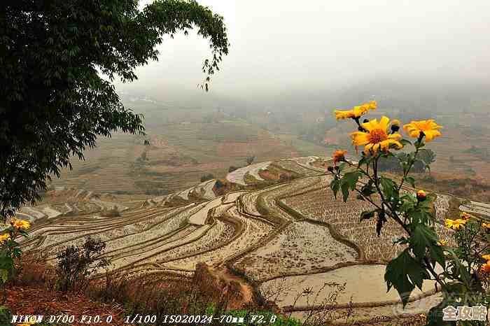 终焉之玛格诺利亚 雾中盛放之花—弗罗斯特故地全探索地图推荐,顺手把隐藏点也列了 终焉之玛格诺利亚 雾中盛放之花—弗罗斯特故地全探索地图推荐,顺手把隐藏点也列了