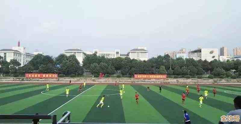 说说王者荣耀足球冠军模式里那些英雄谁能进攻谁防守，有点乱