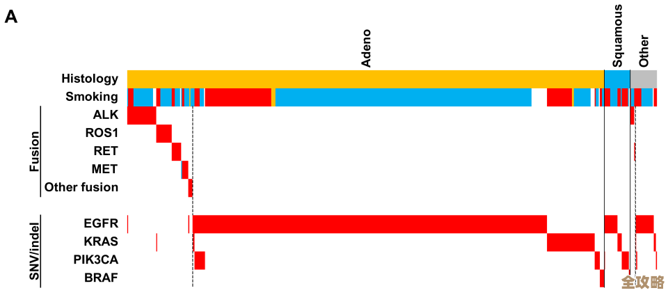全基因组测序结合Redis技术助力精准识别宫颈癌基因变异与标准化诊断