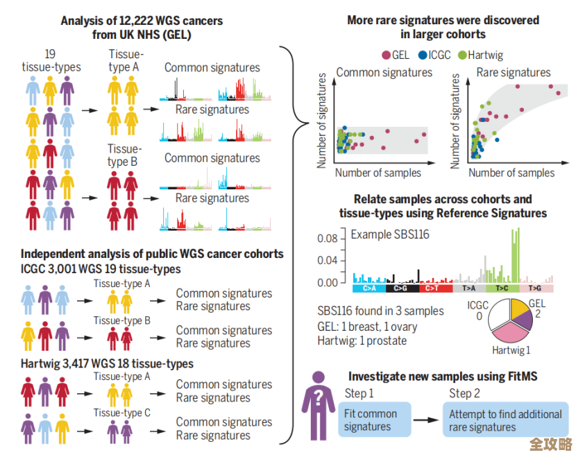 全基因组测序结合Redis技术助力精准识别宫颈癌基因变异与标准化诊断