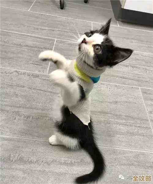 喵眼精灵里个人二维码快速生成小技巧，跟着来