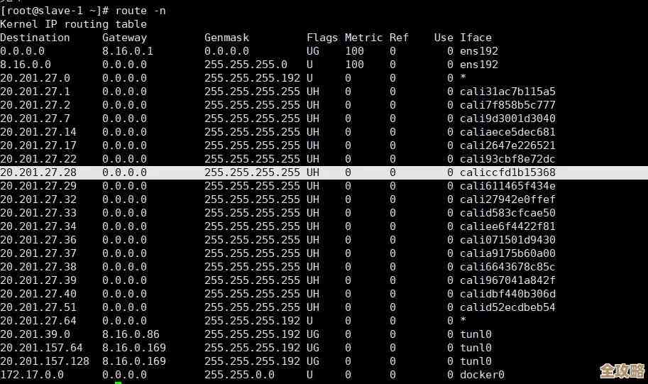 用Redis咋能这么快找到IP地址，查IP就靠它了吧