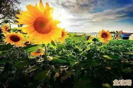 燕云十六声花间集里花间十二景色任务，手把手怎么做呢