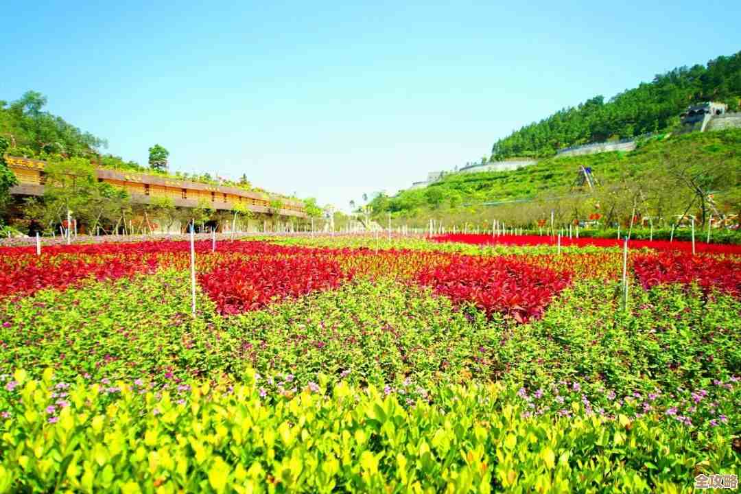 燕云十六声花间集里花间十二景色任务，手把手怎么做呢