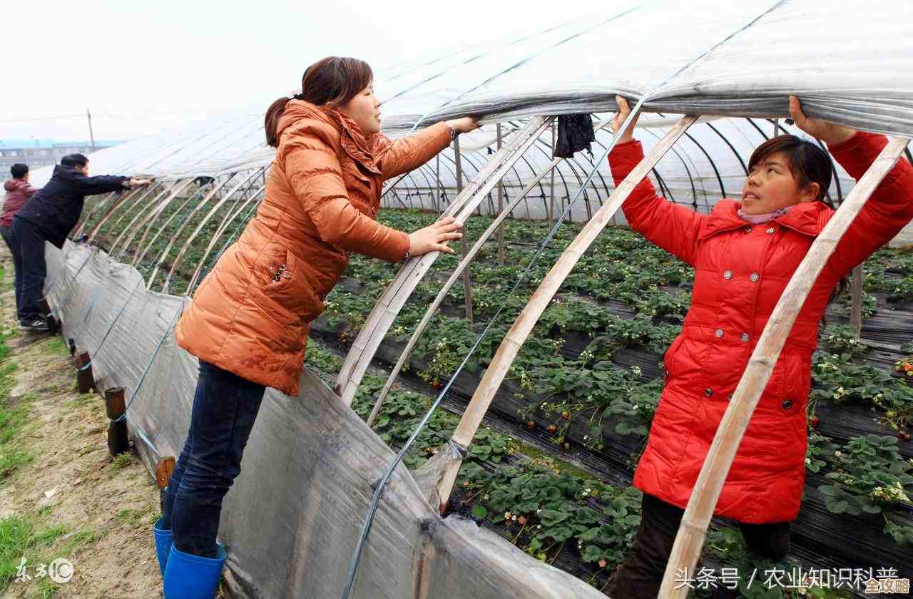 基础设施自动化发展中那些绕不开的关键变化和挑战