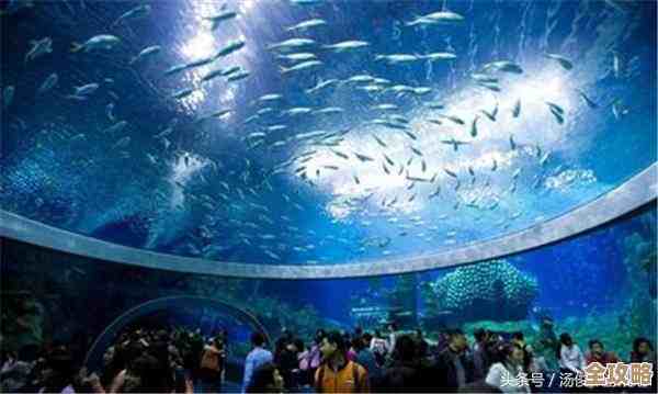 有趣的养鱼水族馆手游下载分享，随手收藏好玩的鱼缸世界