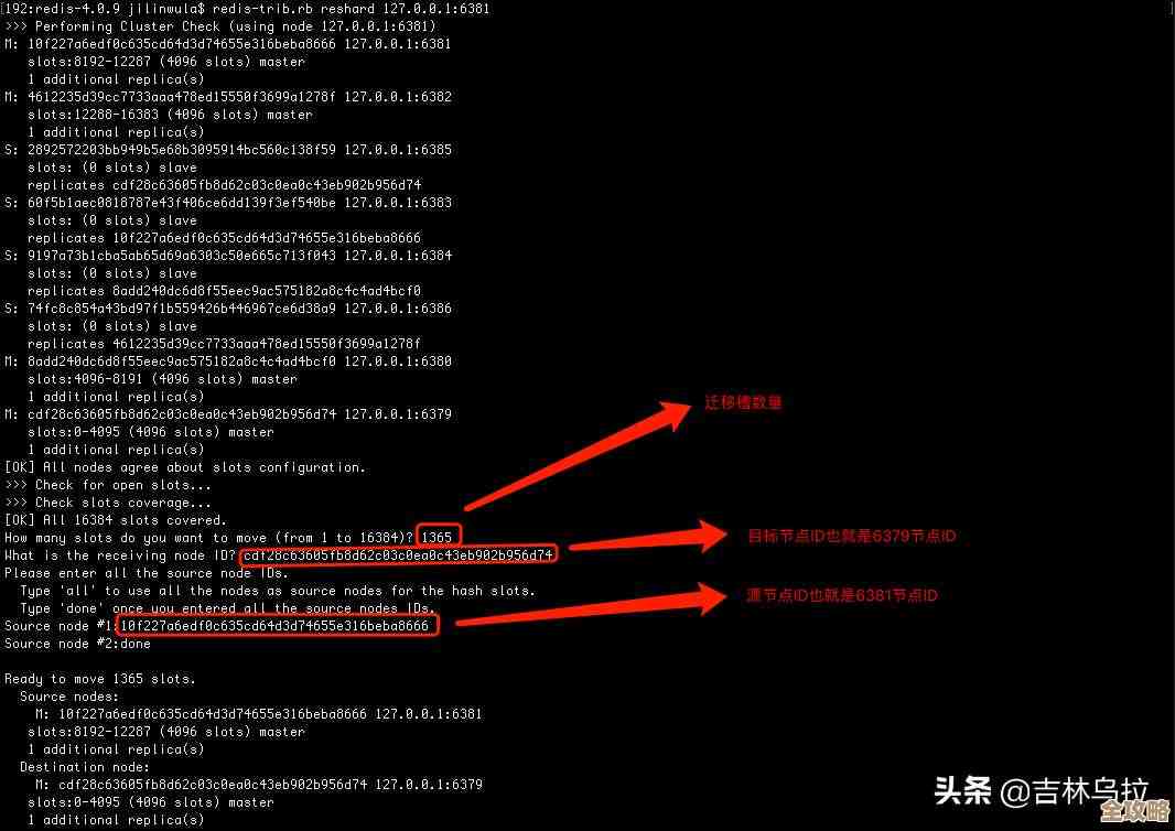 Redis集群怎么搭建和用，最实用的技巧和注意点分享
